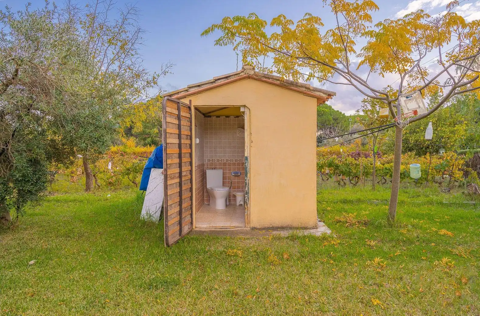 Landhaus zum Verkauf in DEHESA DEL BOYAL, imagen 6
