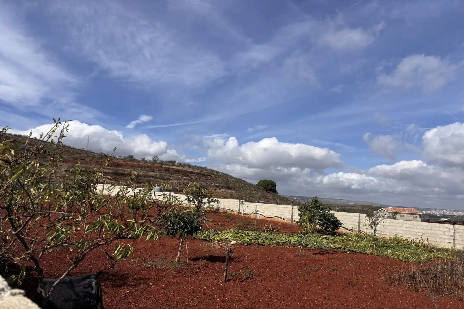 Rural land for sale in Nigüelas, imagen 14