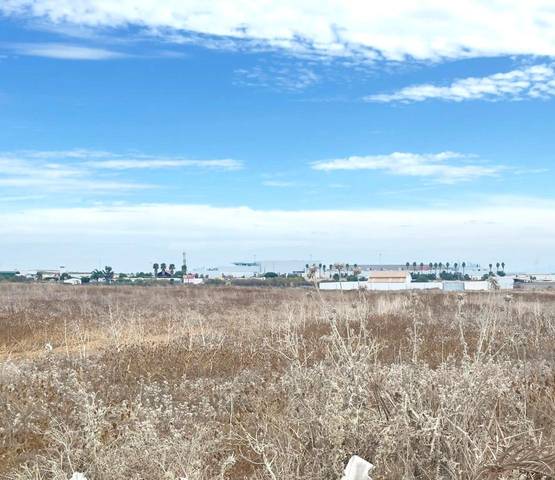 Terreno en Venta en Caňada del Amarguillo en Las Palmeras - Dehesilla