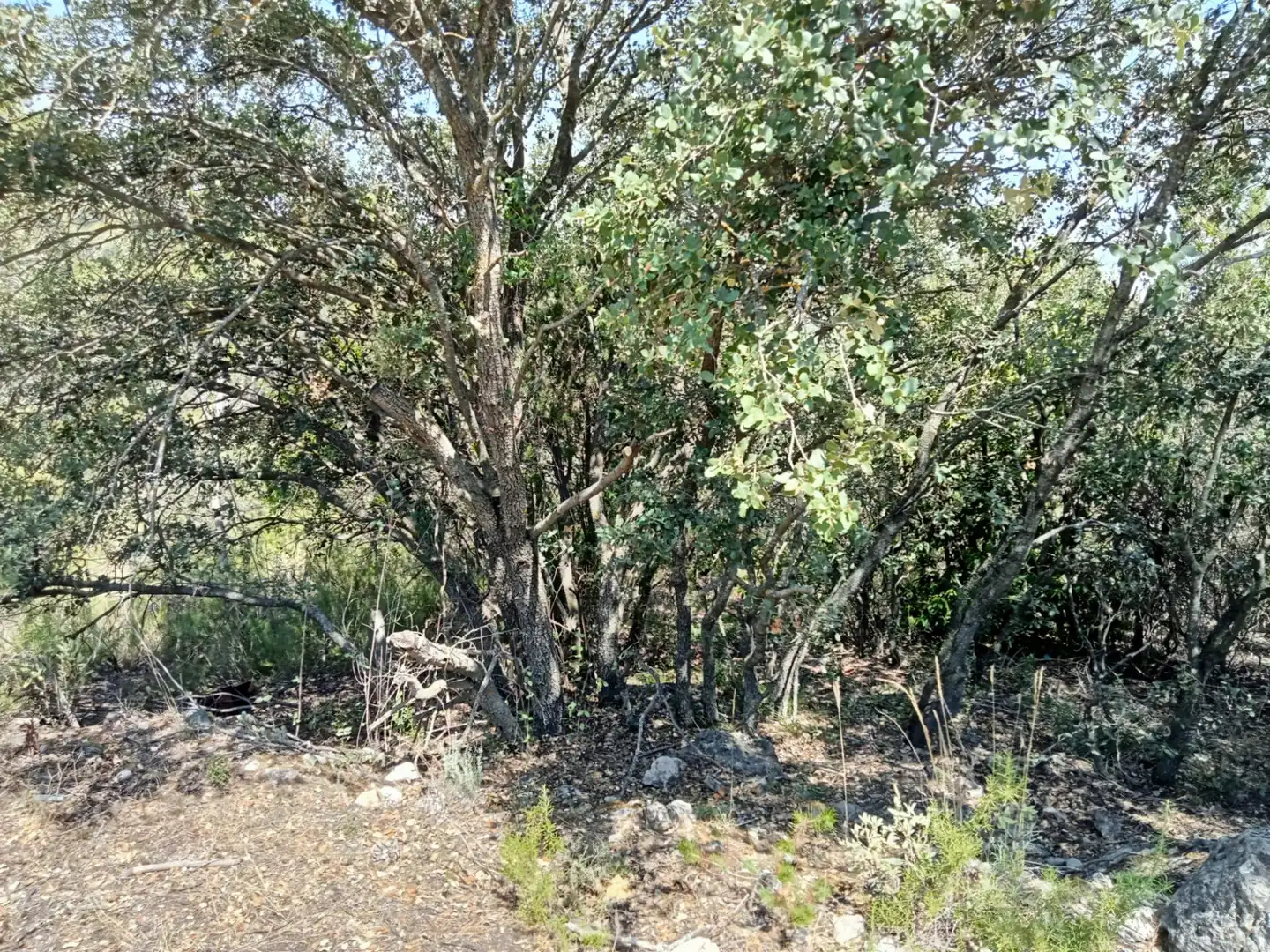 Residential land for sale in Urbanizacion 19119, imagen 2