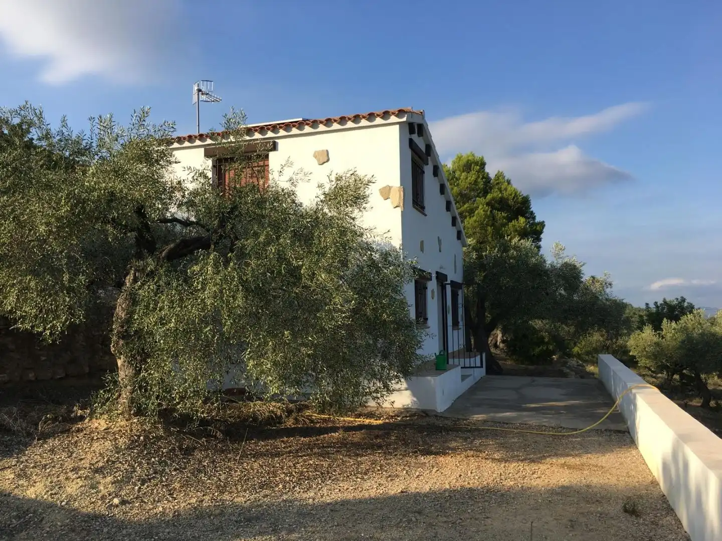 Maison rustique avec jardin à vendre à T-331 3, imagen 2