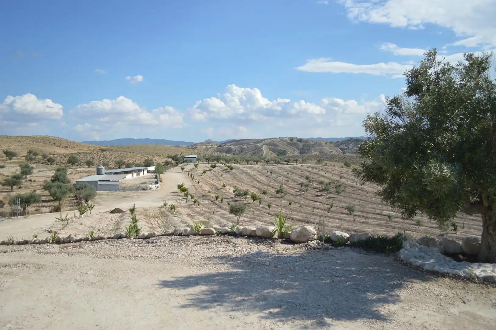 Residential zum Verkauf in Las Torres de Cotillas