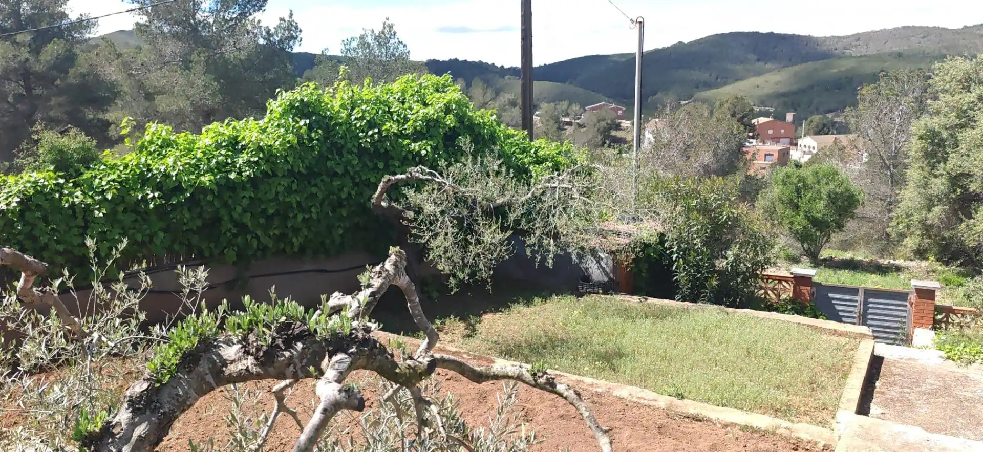 Houses for sale in La Bisbal del Penedès
