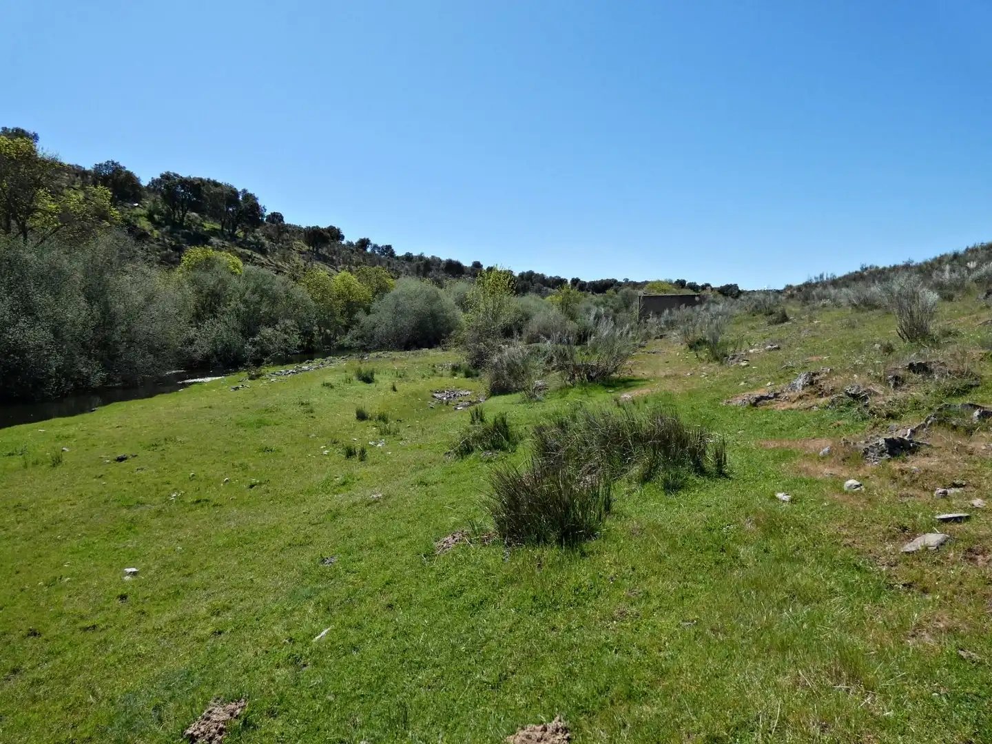 Terreny en venda en Gallegos de Argañán