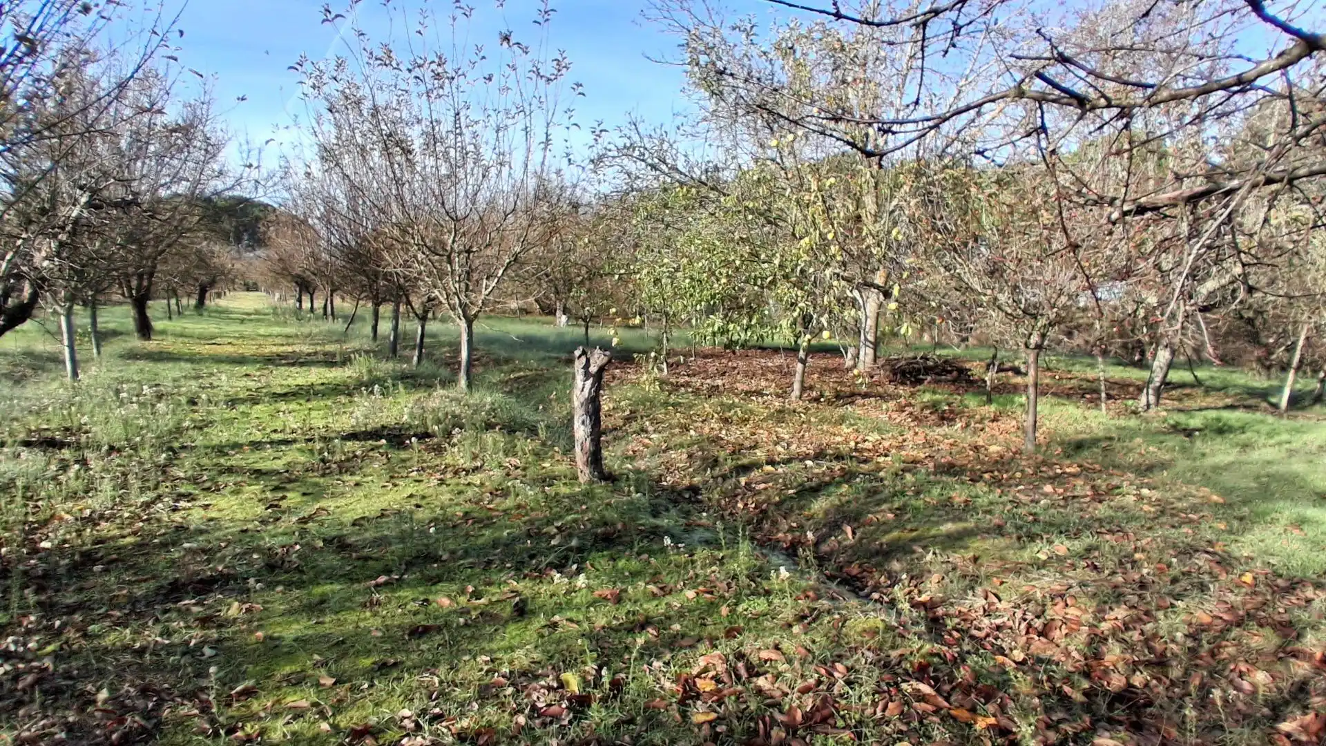 Finca rústica en venta en Almenara de Tormes