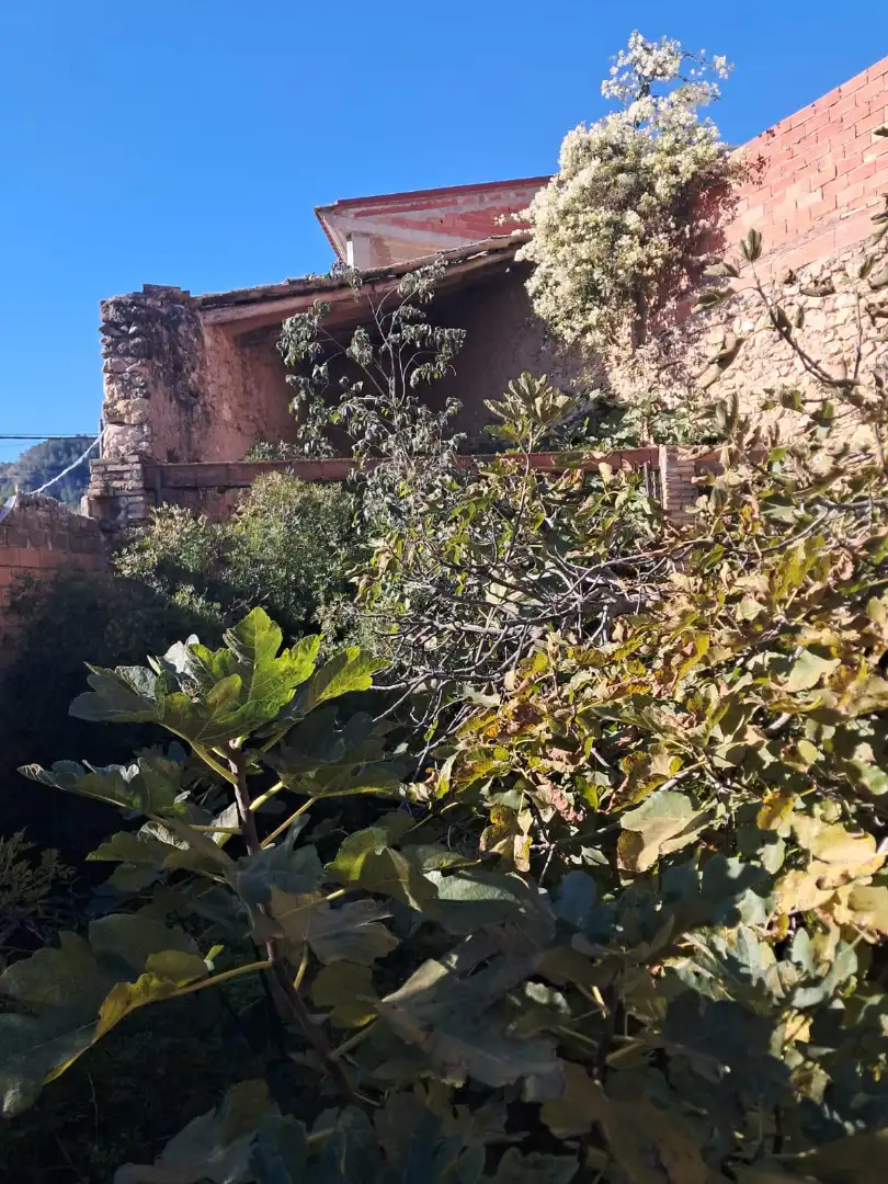 Jardín de Residencial en venta en Sumacàrcer
