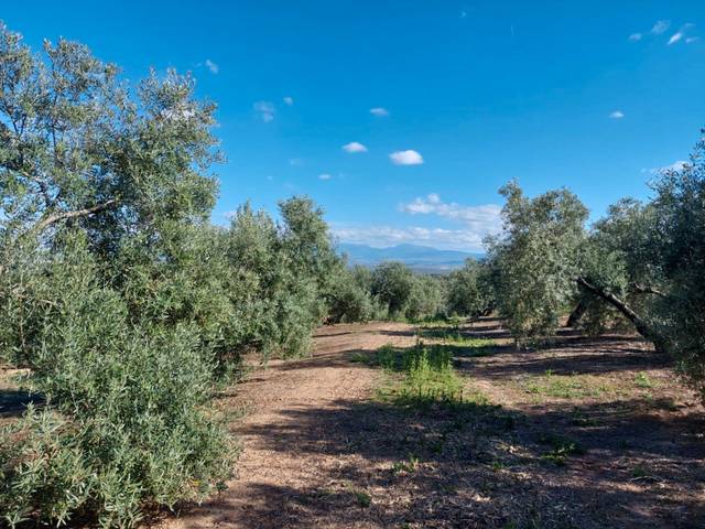 Terreno en Venta en Zona Hospital