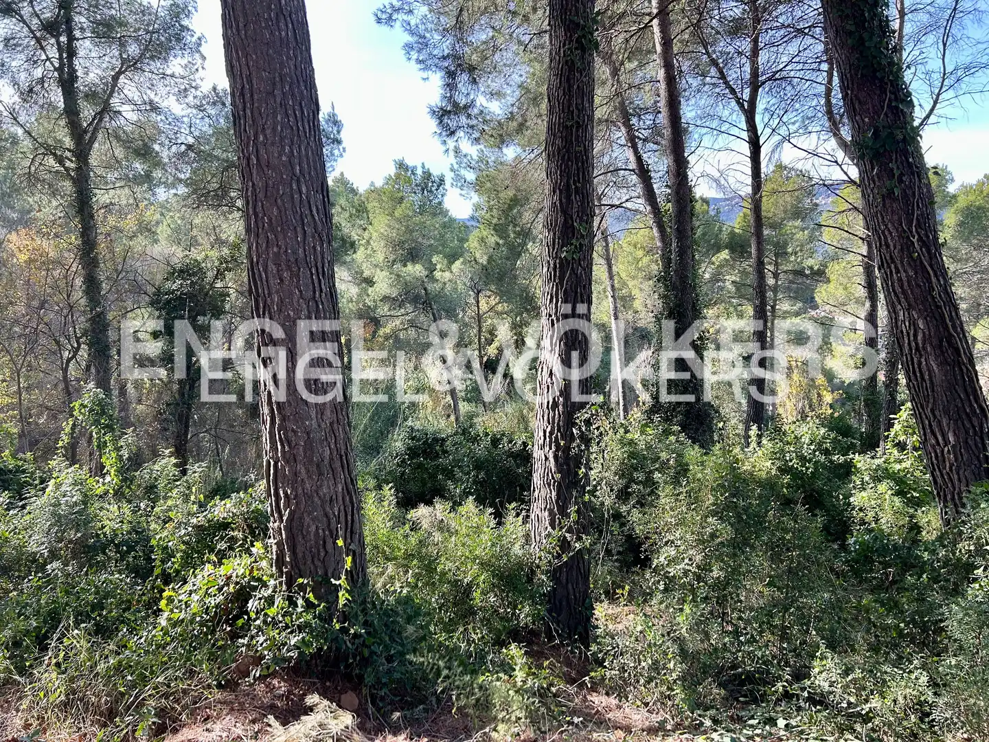 Terreny residencial en venda a Corbera de Llobregat, imagen 5