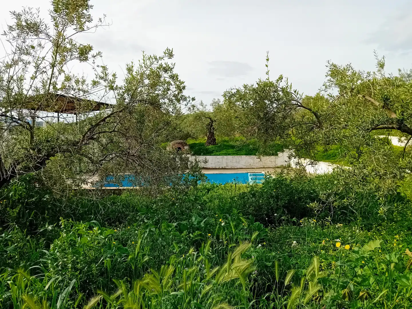 Casa rústica con piscina en venta en Alozaina, imagen 14