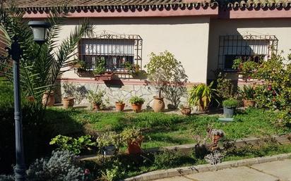 Jardí de Casa o xalet en venda en Carmona amb Jardí privat, Traster i Moblat