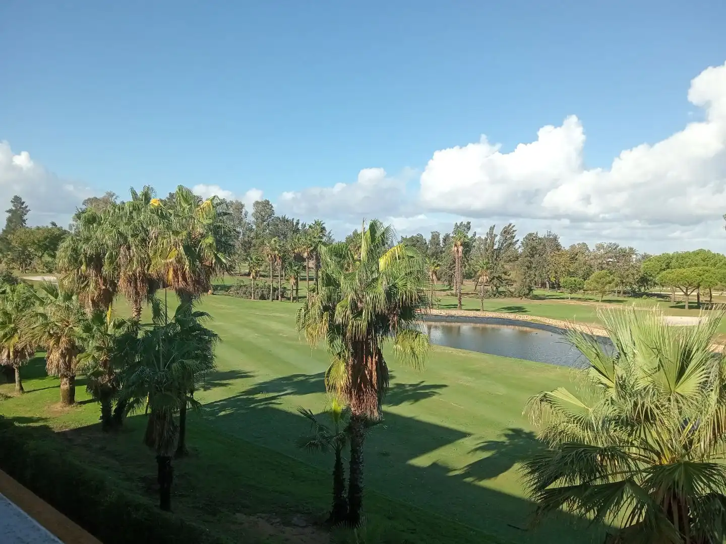 Apartment mit Pool zur Miete in Calle Golf Norte A-7 6, imagen 6