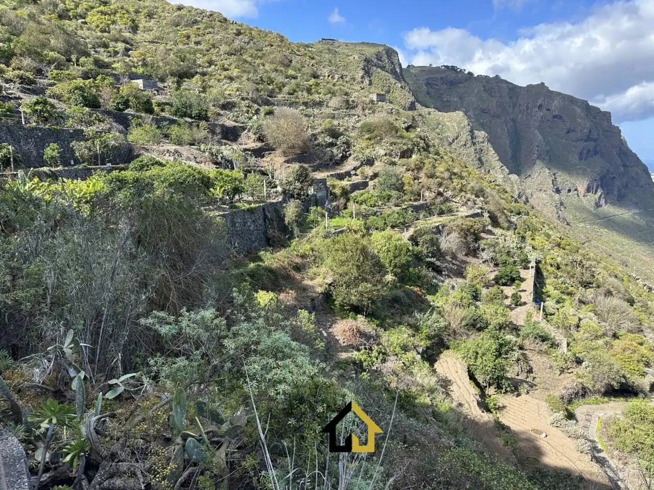 Terreny rústic en venda a Carretera TF - 421 Garachico, imagen 7