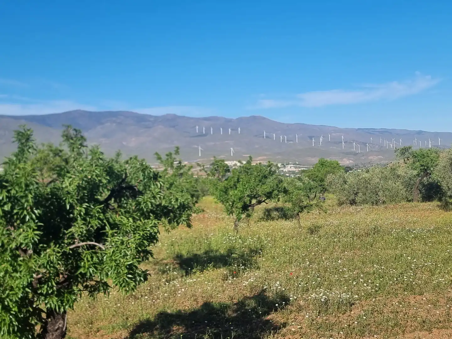 Terreno en venta en Abrucena