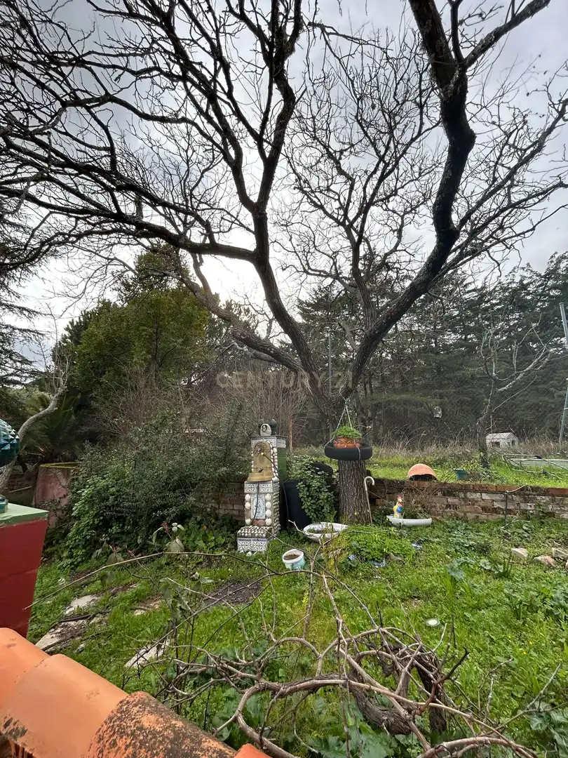 Jardí de Casa o xalet en venda en Cáceres amb Jardí privat i Piscina