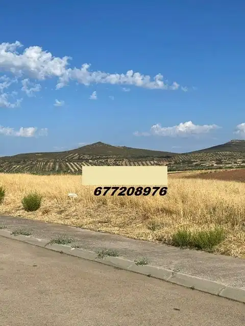 Fabrik Grundstücke zum Verkauf in Piedrabuena