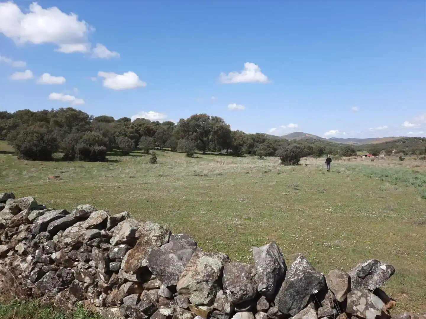 Pis en venda en Cáceres