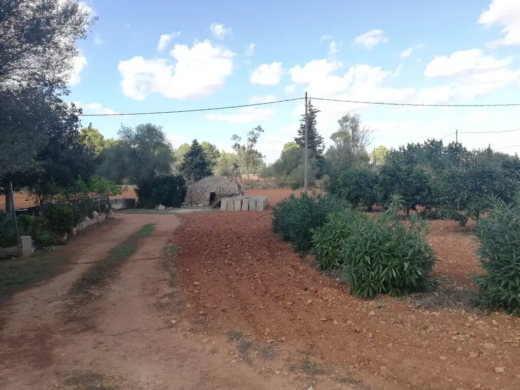 Terreno rustico in vendita a Algaida, imagen 11