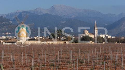 Photo 2 of Premises to rent in Sencelles, Illes Balears