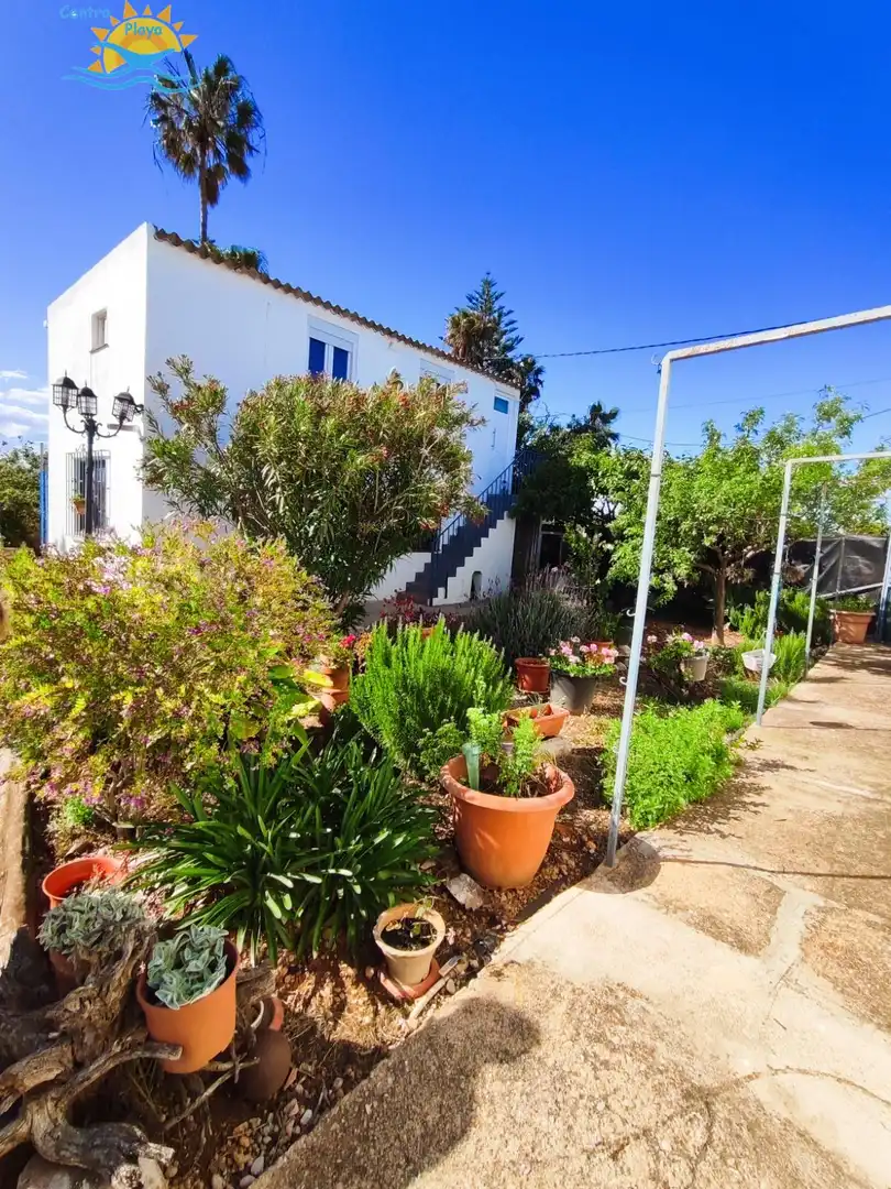 Casa con piscina en venta en Zona Papa Luna - Platja del Gurugú, imagen 15