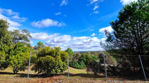 Photo 2 of Residential for sale in Calle Calle Ginés, 24, Los Lagos, Guillena