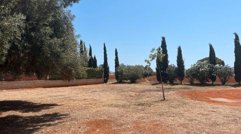 Foto 4 de Residencial en venda a Calle Rosales, 13, Los Urrutias, Murcia