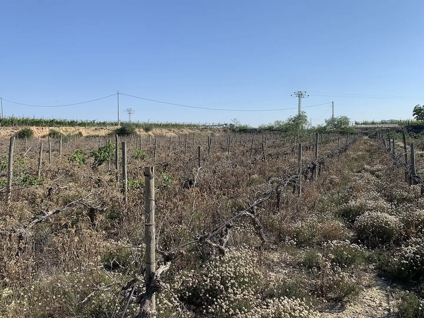 Terreno residencial en venta en Monforte del Cid, imagen 10