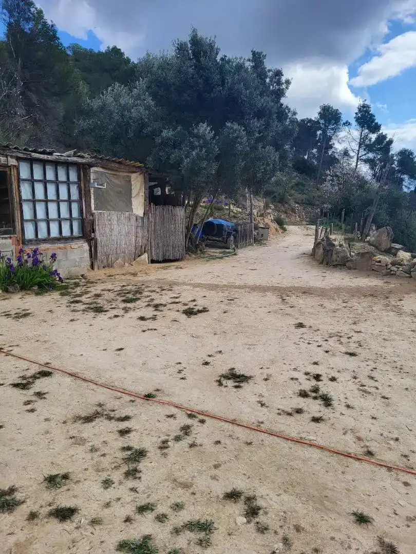 Finca rústica en venda en Corbera d'Ebre