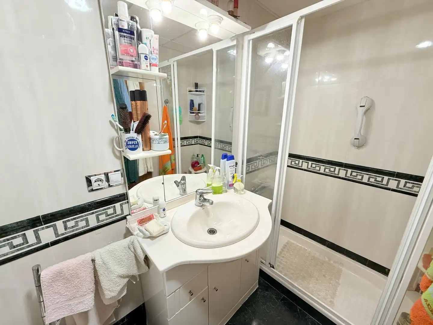 Bathroom of Attic for sale in Roquetas de Mar  with Terrace