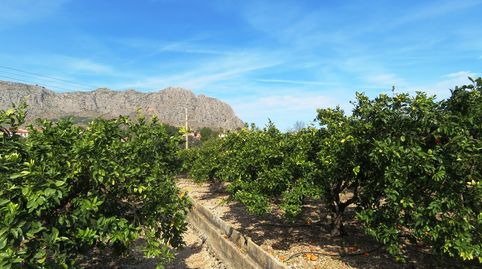 Foto 5 de Casa o xalet en venda a Beniarbeig, Alicante