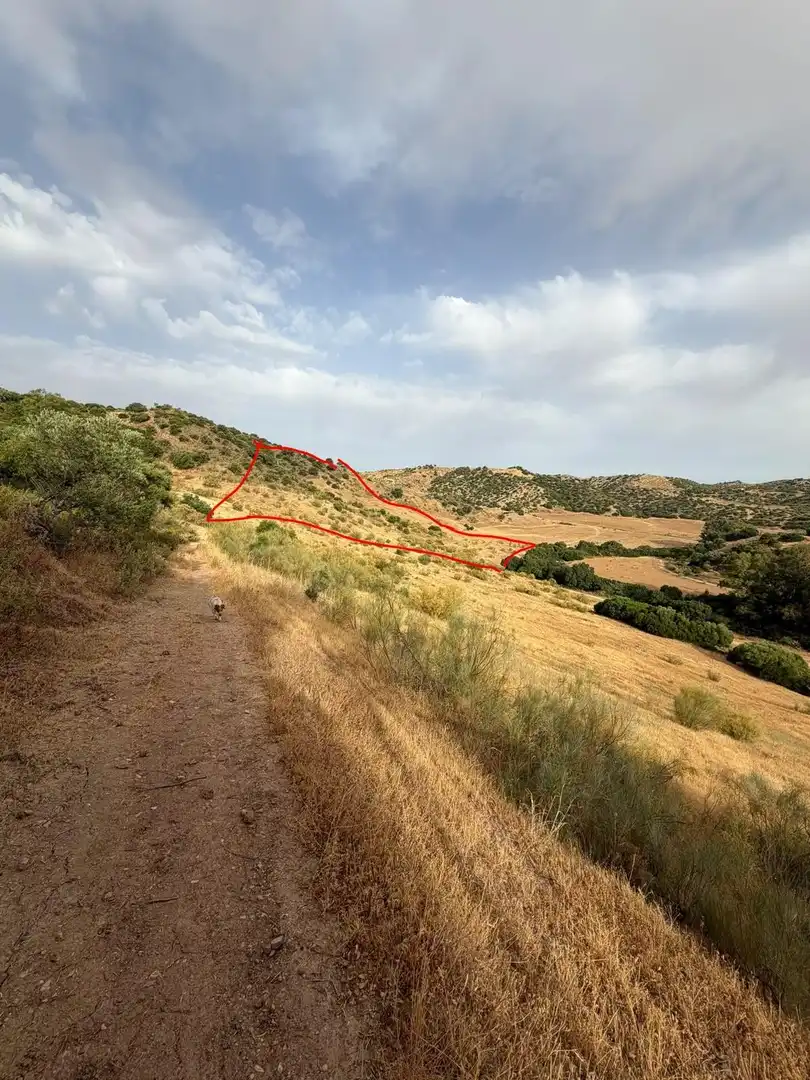 Rural land for sale in Polígono Morón de la Frontera, imagen 6
