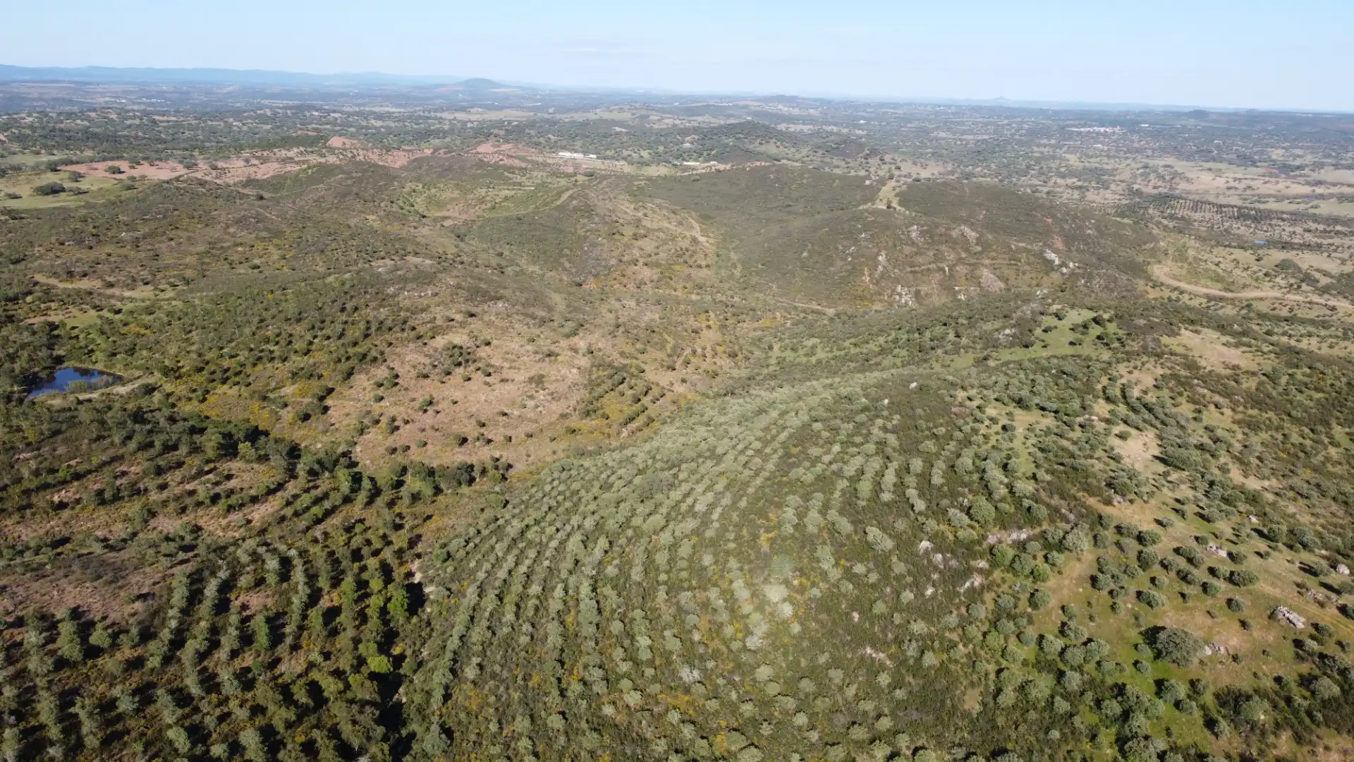 Finca rústica en venta en Paymogo con Jardín privado, Terraza y Amueblado
