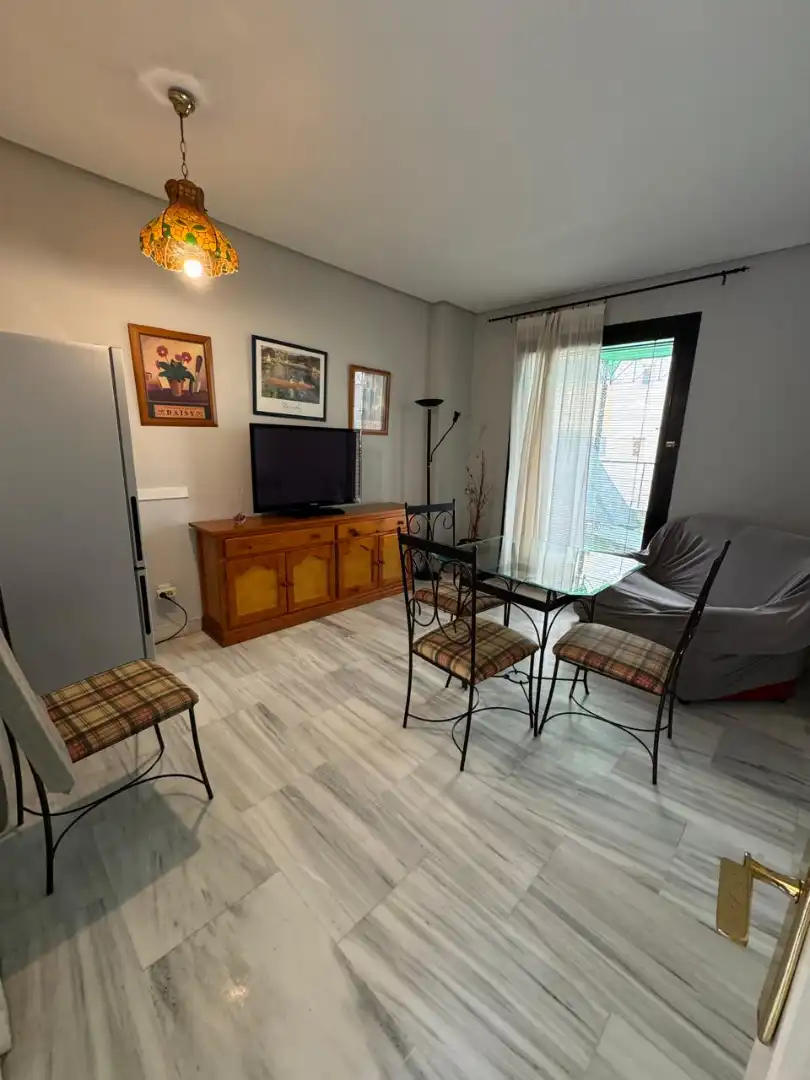 Living room of Apartments for rent in Sevilla  with Air Conditioner, Heating and Terrace