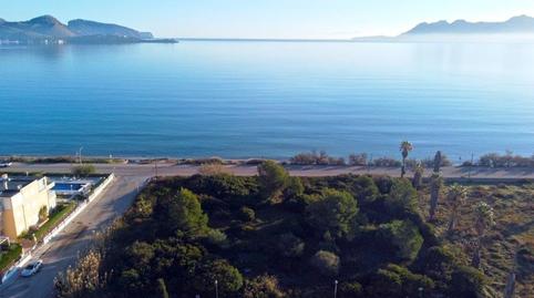 Photo 3 of Planta baja for sale in Pollença Poble, Illes Balears