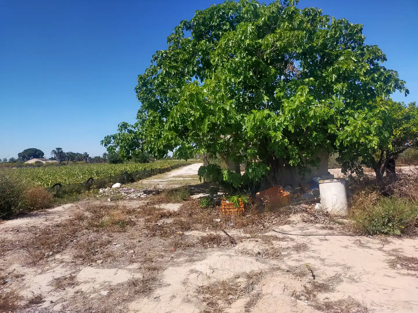 Terrain rustique à vendre à La Foia - Daimés - Asprella, imagen 2