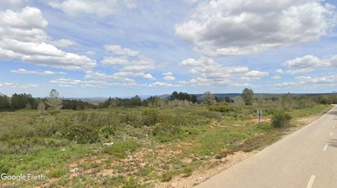 V14963 FINCA AGRICOLA SIN CULTIVAR, OPCIÓN REGADÍO Y VIVIENDA, immagine 3
