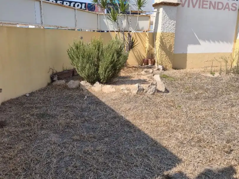 Garten von Büro zur Miete in Torrevieja mit Klimaanlage und Terrasse