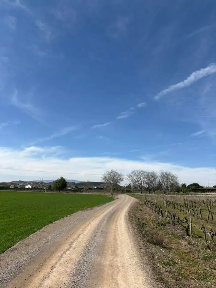 Rustikales Grundstück zum Verkauf in Villamediana de Iregua, imagen 7