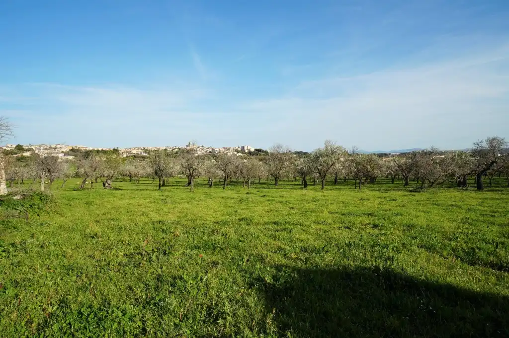 Casa rustica con giardino in vendita a Campanet, imagen 14