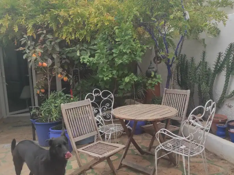 Casa rústica amb jardí en venda a Ctra hellin 22, imagen 4