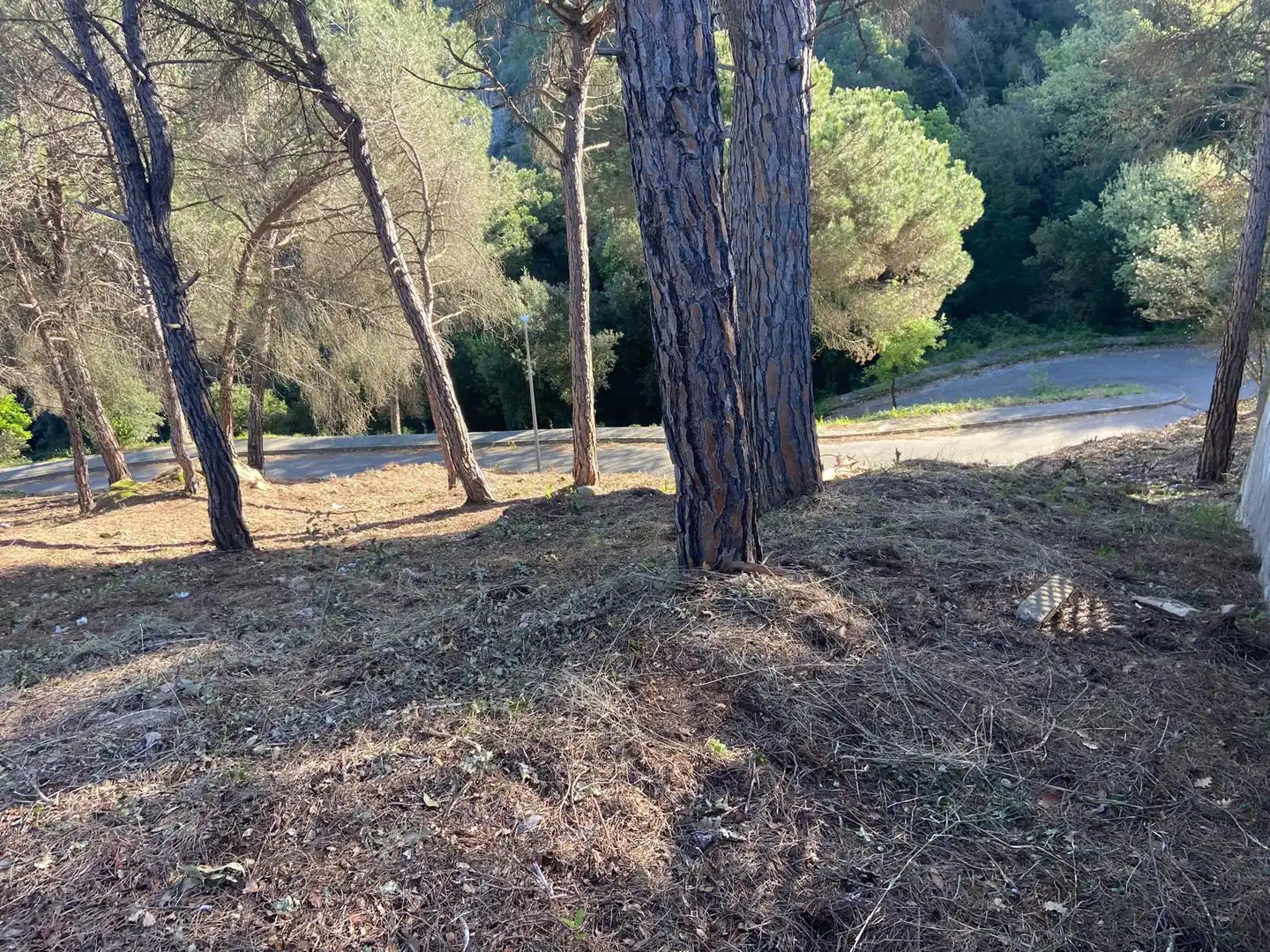 Terreno residencial en venta en del Dotze de Febrer, imagen 7