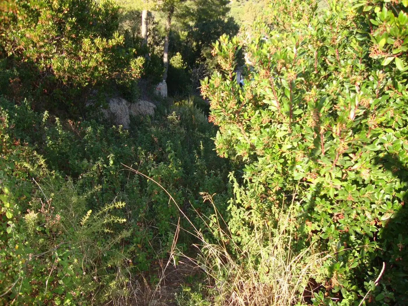 Residencial en venda en Sant Cebrià de Vallalta