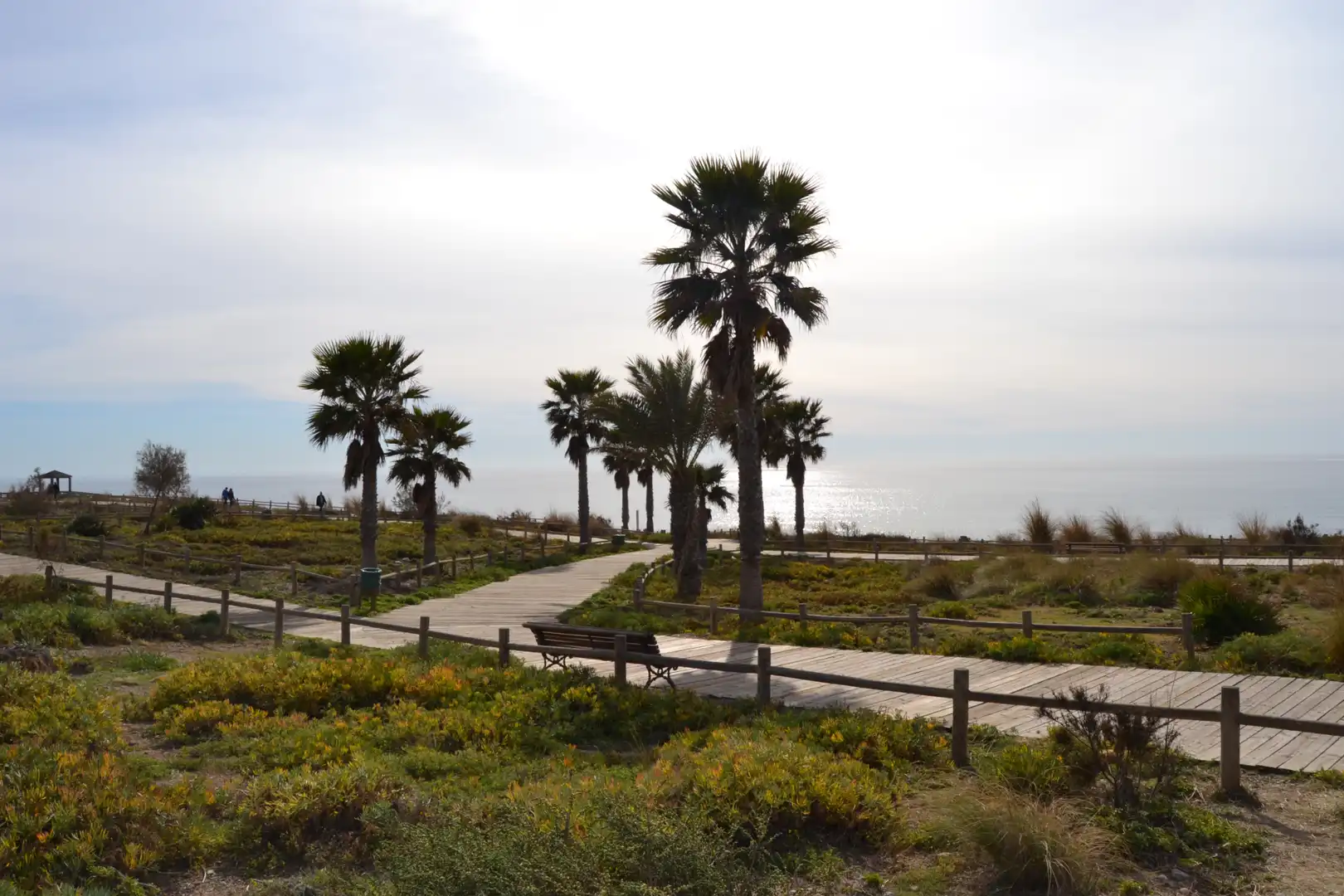 Vista exterior de Casa o chalet en venta en Almería con Aire acondicionado, Jardín privado y Terraza