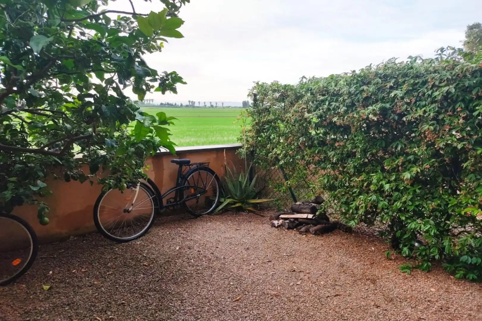Jardín de Piso en venta en Eucaliptus - Poble Nou del Delta