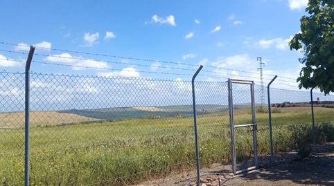 Foto 2 de Finca rústica en venda a La Victoria, Córdoba