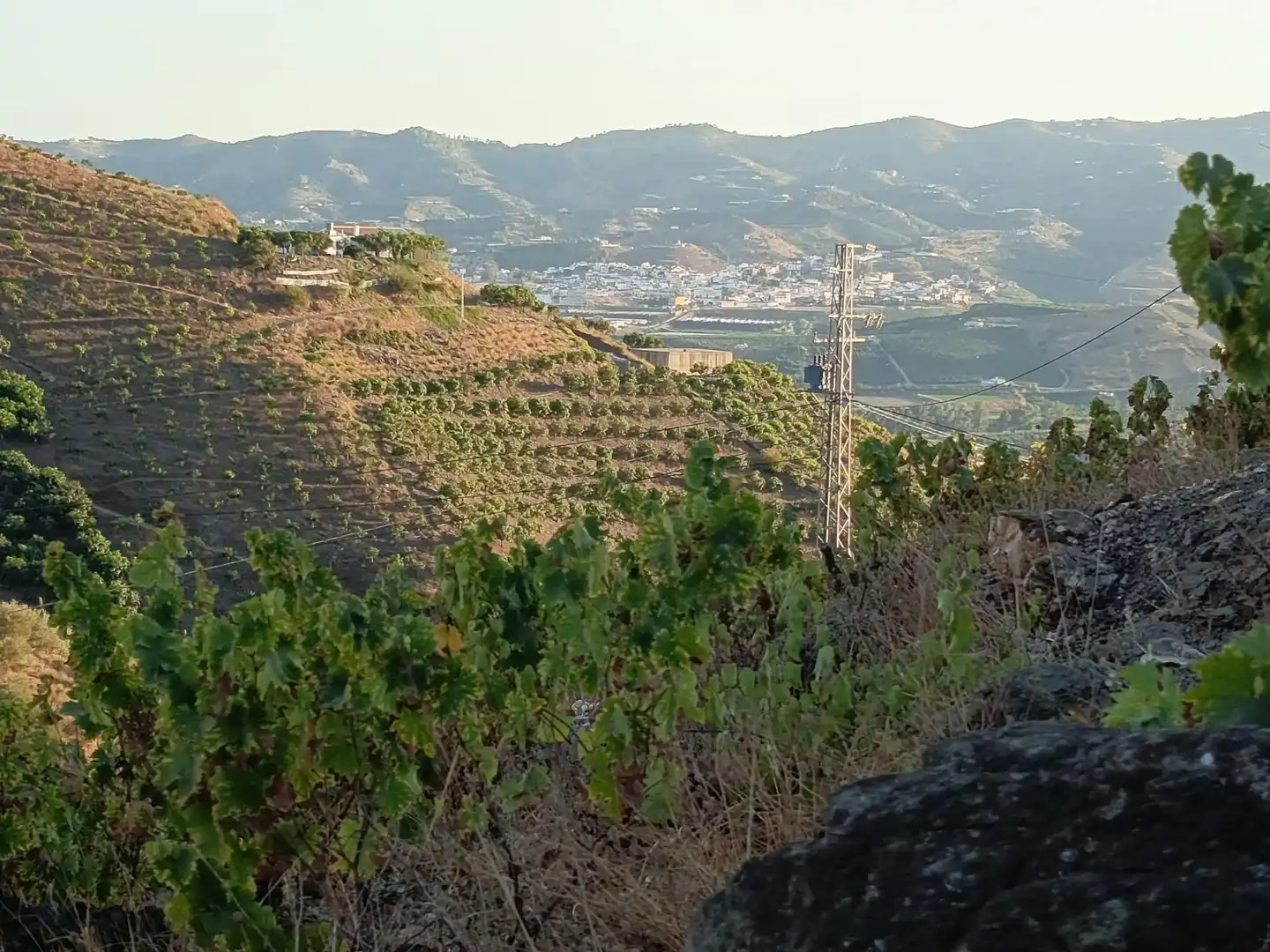 Terrenys i solars en venda a Canillas de Aceituno, imagen 14
