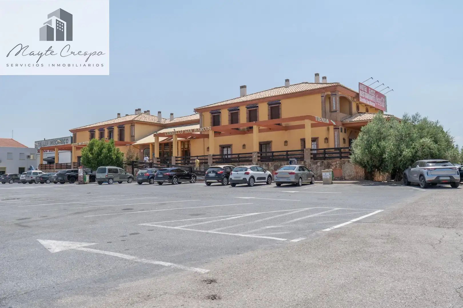 Immobles singulars amb ascensor en venda a Diezma
