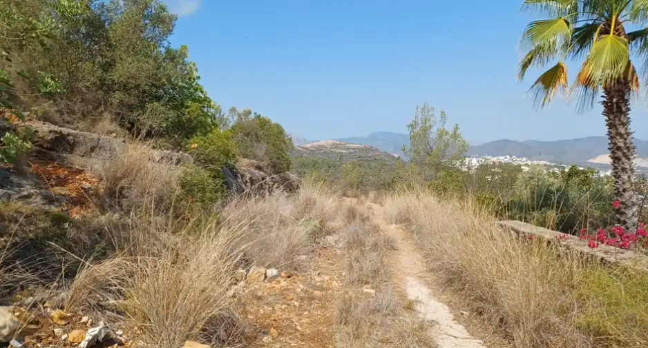 Terreny rústic en venda a El Ràfol d'Almúnia, imagen 4