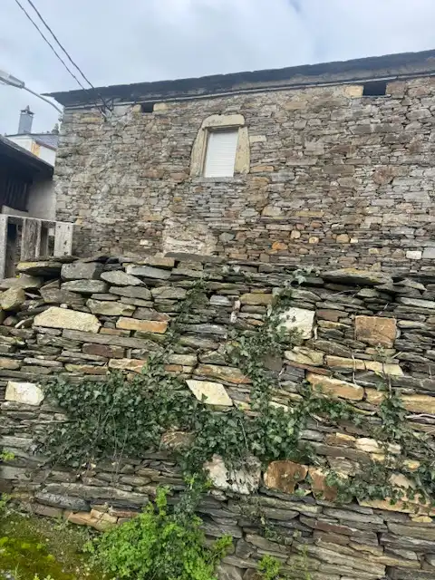 Vista exterior de Finca rústica en venda en Grandas de Salime