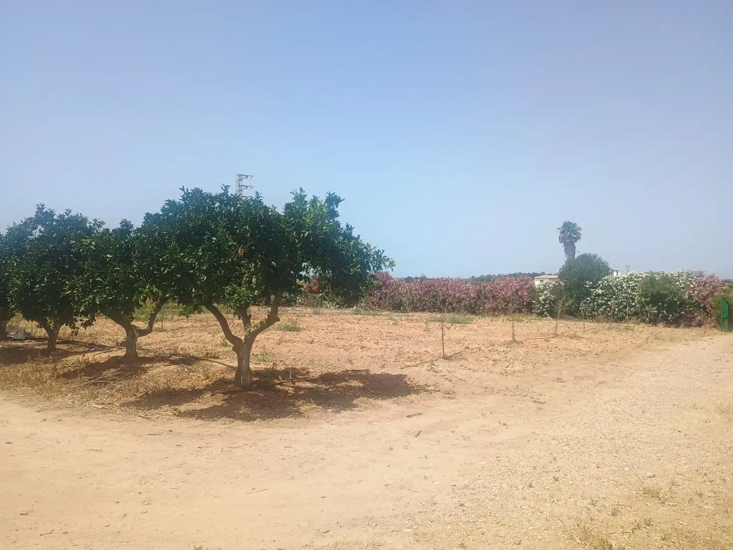 Chalet en venta en El Rompido, imagen 33