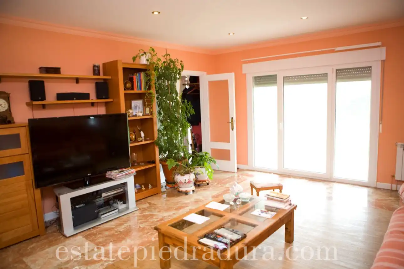 Sala de estar de Casa o chalet en venta en Pontevedra Capital  con Calefacción, Jardín privado y Terraza